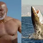 Mike Tyson vs Requin