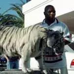Mike Tyson 