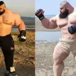 Sajad Gharibi