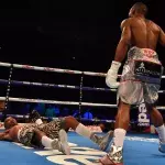 5 secondes : le KO le plus rapide de l'histoire de la boxe