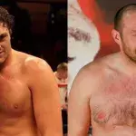 Tyson Fury 2008/2017