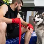 Un boxeur et son chien 
