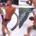 Bellator 229