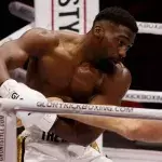 Cédric Doumbé a été défié par Cédric Vitu en boxe anglaise. 