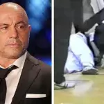 Joe Rogan a pratiqué le taekwondo dans sa jeunesse. 