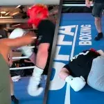 Logan Paul se fait mettre KO par le combattant de MMA Paulo Costa 