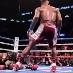 Le KO et le TKO sont deux manières d'empocher la victoire dans les sports de combat. 