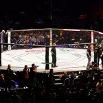 Octogone de l'UFC