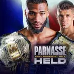 Salahdine Parnasse vs Marcin Held