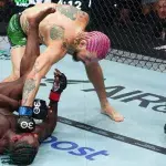 Sean O'Malley vs Aljamain Sterling