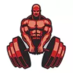 Musculation : s'entraîner tous les jours, bonne ou mauvaise idée ?