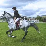 Les exercices de musculation pour progresser en équitation