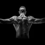 Exercice épaule : 9 exercices à faire pour se muscler les épaules