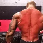 L'entraînement idéal pour le dos par le poids du corps