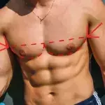 Pecs