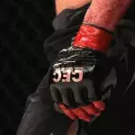 Bien qu'encadré, le MMA reste un sport à risques. 
