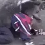 Default image