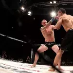 Deux combattants de MMA dans la cage. 