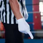 En Russie, des fans de MMA attaquent violemment l'arbitre d'un combat