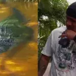 Gilbert Burns et un alligator  