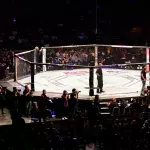 Les combats se déroulent dans un octogone à l'UFC. 