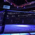 Octogone de l'UFC