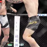 Quand un combattant de MMA attaquait un spectateur juste après son KO