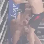 Rizin 20