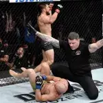 UFC 238