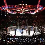 UFC octogone