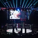 Une cage de MMA. 