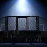 Une cage de MMA 