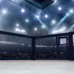 Une cage de MMA 