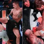 Une soirée de folie au Bellator 225
