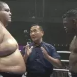 Akebono a affronté Remy Bonjasky au K-1 selon les règles du kickboxing. 
