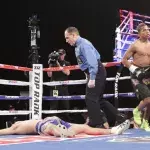 Les fractures du crâne sont très rares dans les sports de combat. 