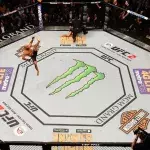 Demetrious Johnson dans l'octogone de l'UFC. 