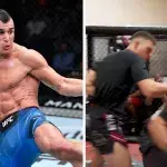 Natan Levy est un combattant israélien signé à l'UFC. 