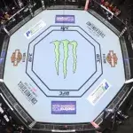 UFC Octogon