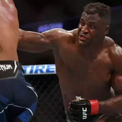 Francis Ngannou dispose de plusieurs options suite à son départ de l'UFC. 