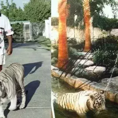 Mike Tyson