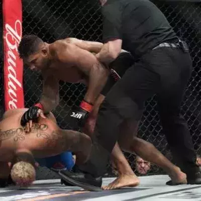 Alistair Overeem vs Mark Hunt
