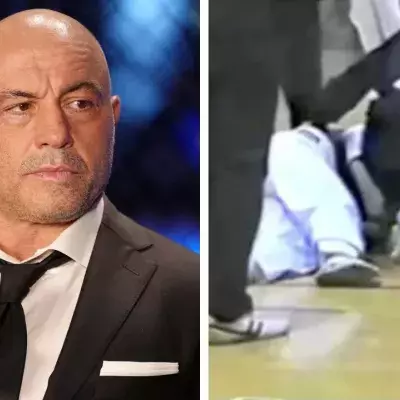 Joe Rogan a pratiqué le taekwondo dans sa jeunesse. 