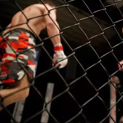 Les combats de MMA se déroule le plus souvent dans une cage. 