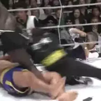 Mark Hunt vs Melvin Manhoef