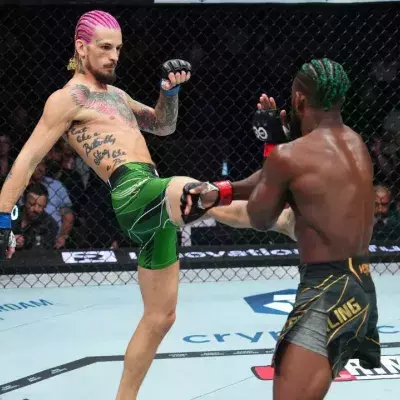 Sean O'Malley a battu Aljamain Sterling par TKO au 2e round. 