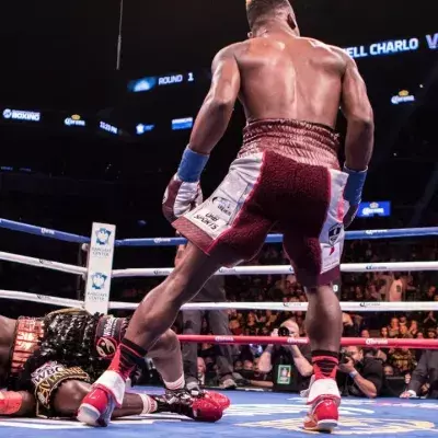 Le KO et le TKO sont deux manières d'empocher la victoire dans les sports de combat. 