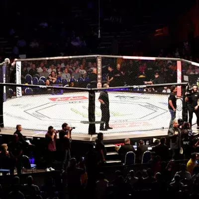 Octogone de l'UFC