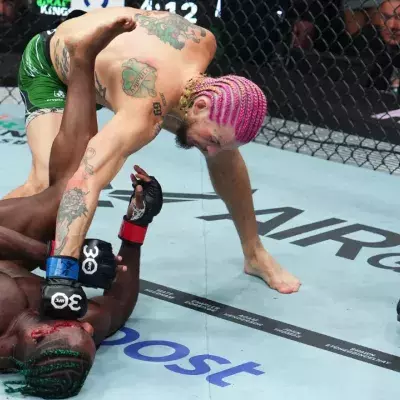 Sean O'Malley vs Aljamain Sterling