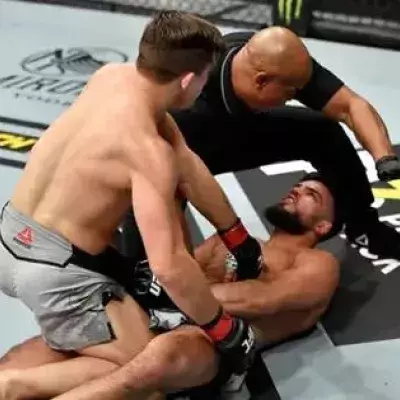 UFC 246
